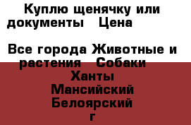 Куплю щенячку или документы › Цена ­ 3 000 - Все города Животные и растения » Собаки   . Ханты-Мансийский,Белоярский г.